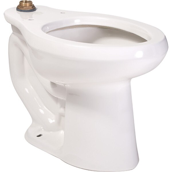 floor mounted toilet bowl