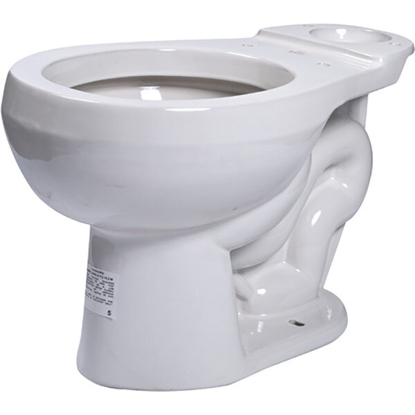 floor mounted toilet bowl