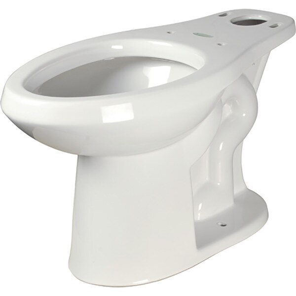 floor mounted toilet bowl
